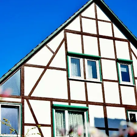 Ferienwohnung Wilhelm Springstille Exterior foto
