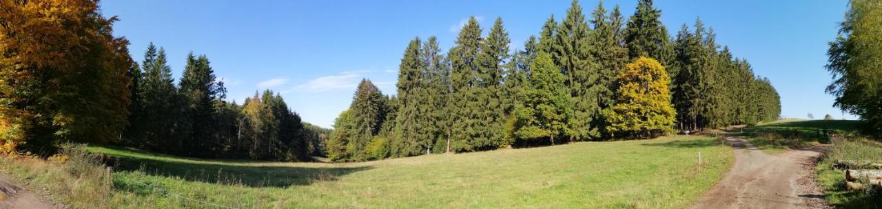 Wilhelm Appartement Springstille